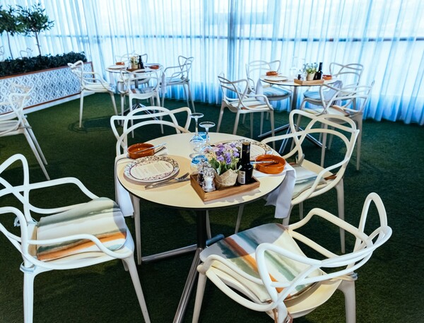 Ambassador Ambition - Lupinos 1.jpg